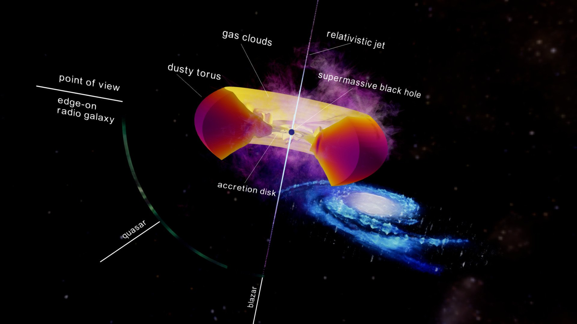MALS Unveiled: Revealing Half a Million Cosmic Radio Sources