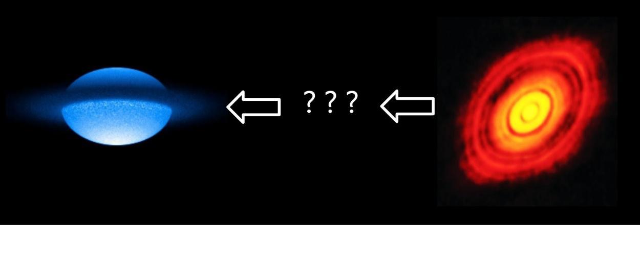 Identification of a new category of stars: stars in rare transition phase found