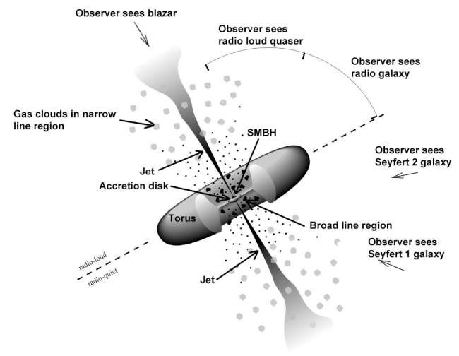 A comparison of the properties of Narrow Line and the Broad Line Seyfert galaxies